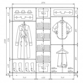 Шкаф-купе ХИТ 22-4-20-555 (420) в Пойковском - poikovskii.mebel24.online | фото 2