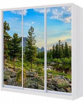 Шкаф-купе ХИТ 22-4-20-777 ПРИРОДА в Пойковском - poikovskii.mebel24.online | фото