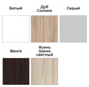 Шкаф-купе ХИТ 23-24/2-7777 (620) в Пойковском - poikovskii.mebel24.online | фото 2