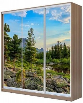 Шкаф-купе ХИТ 24-20/2-777 ПРИРОДА в Пойковском - poikovskii.mebel24.online | фото