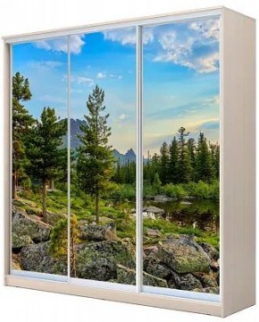 Шкаф-купе ХИТ 24-4-20-777 ПРИРОДА в Пойковском - poikovskii.mebel24.online | фото