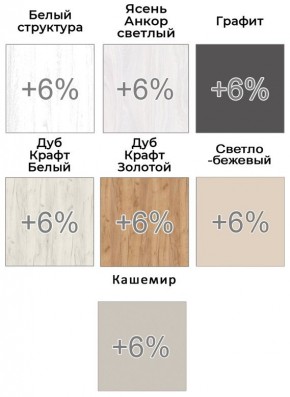 Шкаф-купе ХИТ-У-R-22-64-66 в Пойковском - poikovskii.mebel24.online | фото 5