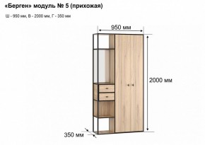 Шкаф платяной Берген-5 в Пойковском - poikovskii.mebel24.online | фото 7