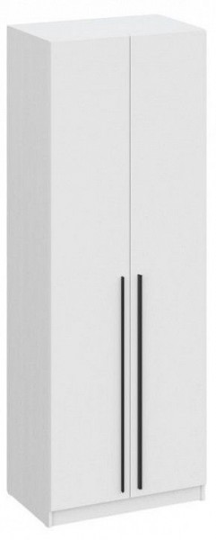 Шкаф платяной Бирма ШК-800 в Пойковском - poikovskii.mebel24.online | фото