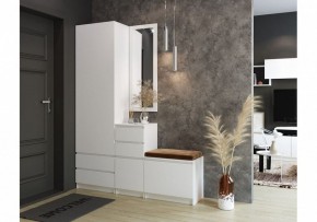 Шкаф платяной Мадера в Пойковском - poikovskii.mebel24.online | фото 4