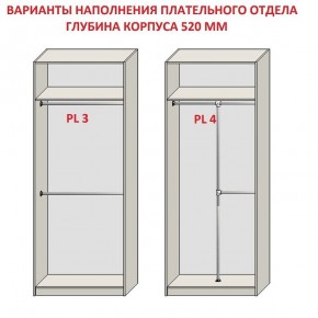 Шкаф распашной серия «ЗЕВС» (PL3/С1/PL2) в Пойковском - poikovskii.mebel24.online | фото 10