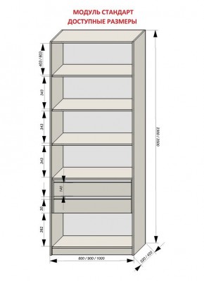 Шкаф распашной серия «ЗЕВС» (PL3/С1/PL2) в Пойковском - poikovskii.mebel24.online | фото 13