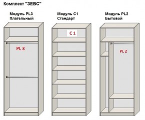 Шкаф распашной серия «ЗЕВС» (PL3/С1/PL2) в Пойковском - poikovskii.mebel24.online | фото 2