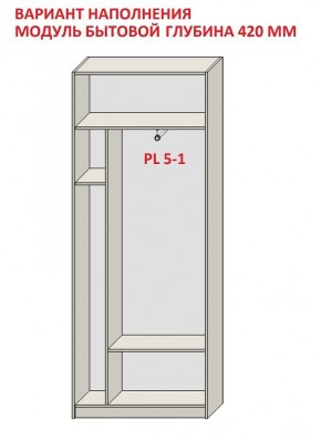 Шкаф распашной серия «ЗЕВС» (PL3/С1/PL2) в Пойковском - poikovskii.mebel24.online | фото 4