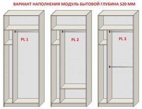 Шкаф распашной серия «ЗЕВС» (PL3/С1/PL2) в Пойковском - poikovskii.mebel24.online | фото 5