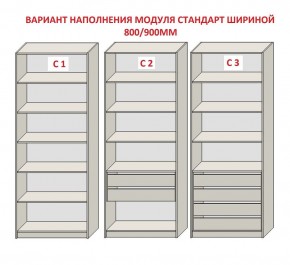 Шкаф распашной серия «ЗЕВС» (PL3/С1/PL2) в Пойковском - poikovskii.mebel24.online | фото 6