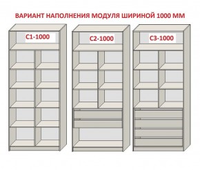 Шкаф распашной серия «ЗЕВС» (PL3/С1/PL2) в Пойковском - poikovskii.mebel24.online | фото 7