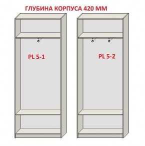 Шкаф распашной серия «ЗЕВС» (PL3/С1/PL2) в Пойковском - poikovskii.mebel24.online | фото 8