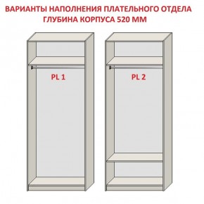 Шкаф распашной серия «ЗЕВС» (PL3/С1/PL2) в Пойковском - poikovskii.mebel24.online | фото 9