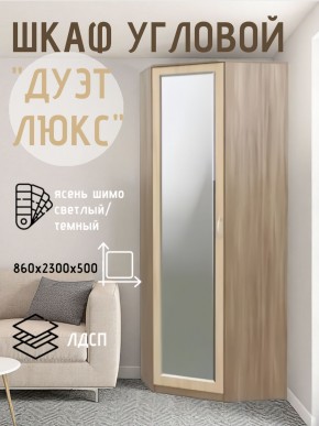 Шкаф угловой Дуэт Люкс с зеркалом в Пойковском - poikovskii.mebel24.online | фото 3