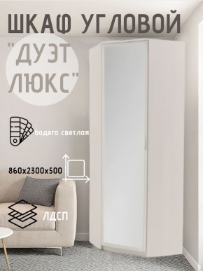 Шкаф угловой Дуэт Люкс с зеркалом в Пойковском - poikovskii.mebel24.online | фото 6