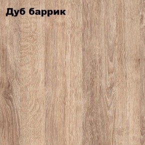 ГРАФ Стеллаж (дуб баррик) в Пойковском - poikovskii.mebel24.online | фото 2