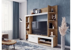 Стенка для гостиной Касэль в Пойковском - poikovskii.mebel24.online | фото 2