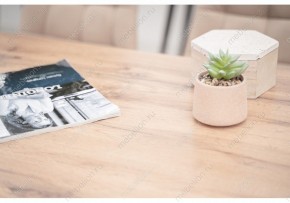 Стол обеденный Тринити Лофт 120 в Пойковском - poikovskii.mebel24.online | фото 6