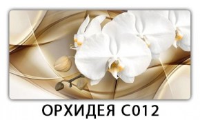 Стол раздвижной Трилогия с фотопечатью Доска D110 в Пойковском - poikovskii.mebel24.online | фото 13