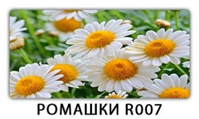 Стол раздвижной Трилогия с фотопечатью Доска D110 в Пойковском - poikovskii.mebel24.online | фото 15