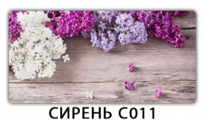 Стол раздвижной Трилогия с фотопечатью Доска D110 в Пойковском - poikovskii.mebel24.online | фото 16