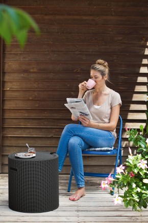 Столик-холодильник Кул-Стул (Cool stool) коричневый в Пойковском - poikovskii.mebel24.online | фото 2