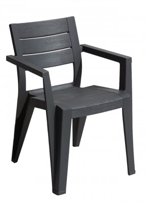 Стул Джули (Julie dining chair) графит в Пойковском - poikovskii.mebel24.online | фото