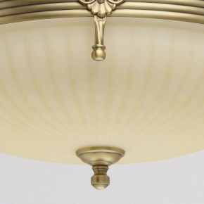 Светильник на штанге MW-Light Афродита 1 317011504 в Пойковском - poikovskii.mebel24.online | фото 4