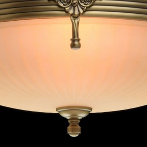 Светильник на штанге MW-Light Афродита 1 317011504 в Пойковском - poikovskii.mebel24.online | фото 5