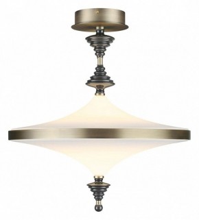 Светильник на штанге Odeon Light Ula 5404/43CL в Пойковском - poikovskii.mebel24.online | фото 2