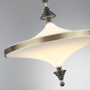 Светильник на штанге Odeon Light Ula 5404/43CL в Пойковском - poikovskii.mebel24.online | фото 6