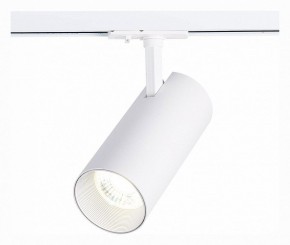 Светильник на штанге ST-Luce Mono ST350.536.30.36 в Пойковском - poikovskii.mebel24.online | фото 2