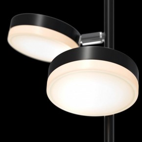 Торшер Maytoni Fad MOD070FL-L12B3K в Пойковском - poikovskii.mebel24.online | фото