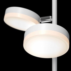 Торшер Maytoni Fad MOD070FL-L12W3K в Пойковском - poikovskii.mebel24.online | фото 5
