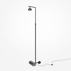 Торшер Maytoni Pikant MOD372FL-L10B3K в Пойковском - poikovskii.mebel24.online | фото 2