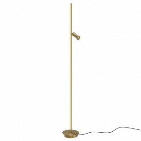 Торшер Maytoni Thin MOD395FL-L28BS3K в Пойковском - poikovskii.mebel24.online | фото