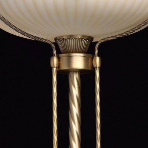 Торшер MW-Light Афродита 1 317040901 в Пойковском - poikovskii.mebel24.online | фото 6