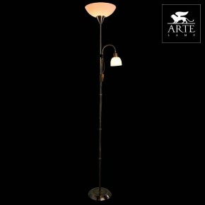 Торшер с подсветкой Arte Lamp Duetto A9569PN-2AB в Пойковском - poikovskii.mebel24.online | фото 3