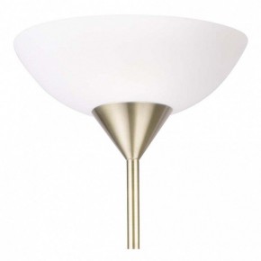 Торшер с подсветкой Arte Lamp Duetto A9569PN-2AB в Пойковском - poikovskii.mebel24.online | фото 5