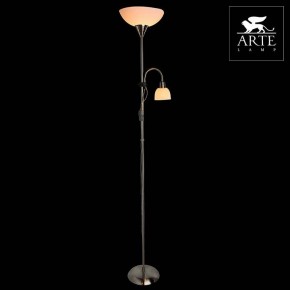 Торшер с подсветкой Arte Lamp Duetto A9569PN-2SS в Пойковском - poikovskii.mebel24.online | фото 3
