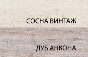 Тумба 4D1S, MONAKO, цвет Сосна винтаж/дуб анкона в Пойковском - poikovskii.mebel24.online | фото 3