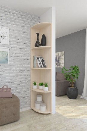 Угловой элемент ЛДСП 1 кат. в Пойковском - poikovskii.mebel24.online | фото 4