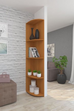 Угловой элемент ЛДСП 1 кат. в Пойковском - poikovskii.mebel24.online | фото 6