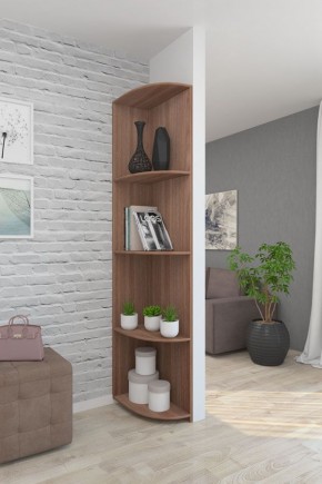 Угловой элемент ЛДСП 1 кат. в Пойковском - poikovskii.mebel24.online | фото 8