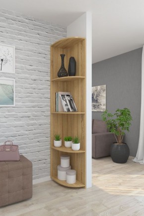 Угловой элемент ЛДСП 2 кат. в Пойковском - poikovskii.mebel24.online | фото 7