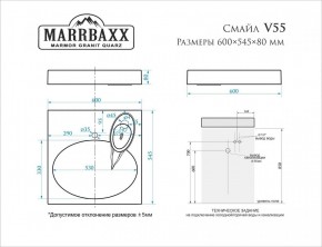 Умывальник над стиральной машиной (600*545*80) Смайл V55D1 (белый) с кронштейном без сифона (V55D1) в Пойковском - poikovskii.mebel24.online | фото 2