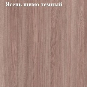 Вешалка для одежды (Ясень шимо темный) в Пойковском - poikovskii.mebel24.online | фото 2