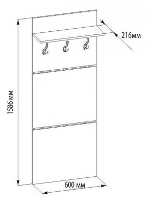 Вешалка настенная ВШ-5.1 в Пойковском - poikovskii.mebel24.online | фото