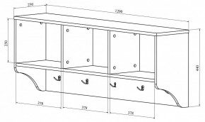 Вешалка-полка ДримСтар ДС-30 в Пойковском - poikovskii.mebel24.online | фото 3